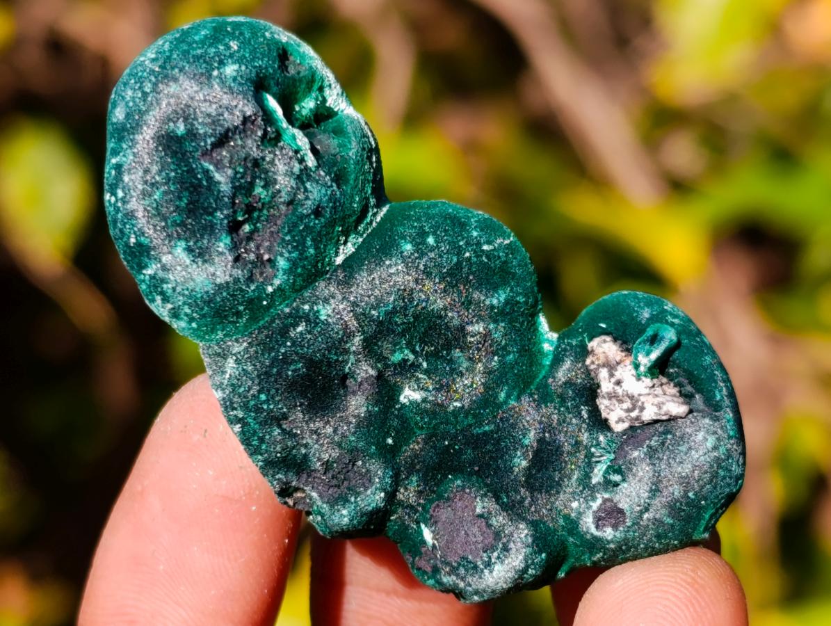 Natural Mini Silky Malachite Specimens x 35 From Kasompe, Congo - Toprock Gemstones and Minerals 