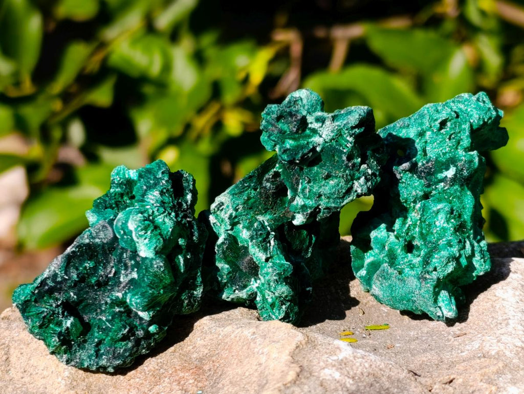 Natural Mini Silky Malachite Specimens x 35 From Kasompe, Congo - Toprock Gemstones and Minerals 