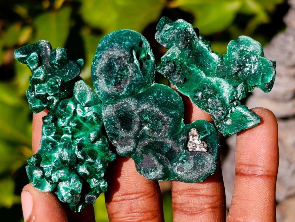 Natural Mini Silky Malachite Specimens x 35 From Kasompe, Congo - Toprock Gemstones and Minerals 
