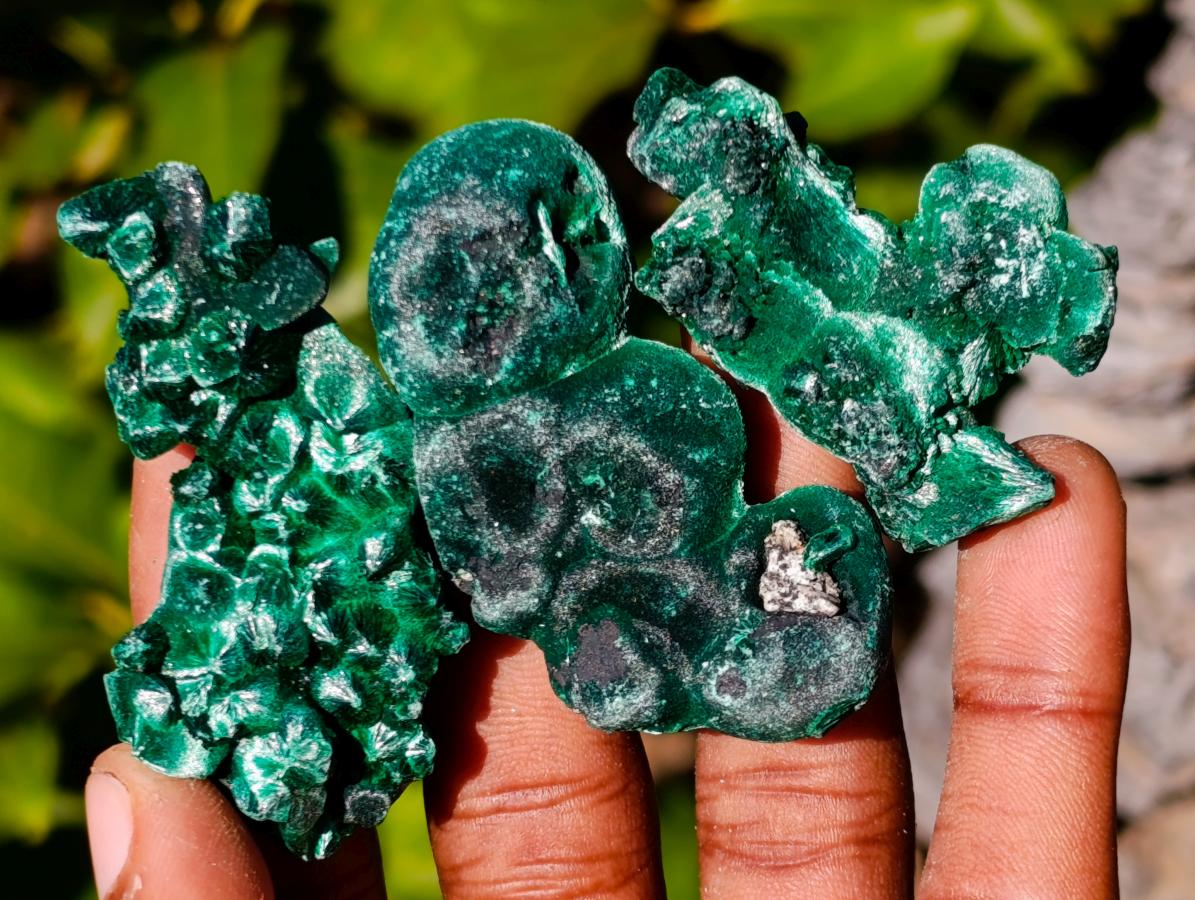 Natural Mini Silky Malachite Specimens x 35 From Kasompe, Congo - Toprock Gemstones and Minerals 