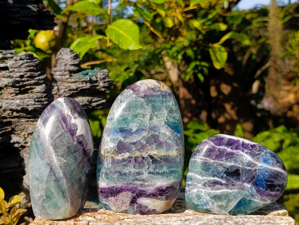 Polished Watermelon Fluorite Standing Display Pieces x 3 From Uis, Namibia - Toprock Gemstones and Minerals 
