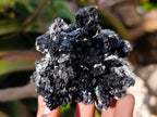 Natural Schorl Black Tourmaline Specimens with Muscovite Mica x 3 From Erongo, Namibia - Toprock Gemstones and Minerals 