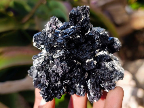 Natural Schorl Black Tourmaline Specimens with Muscovite Mica x 3 From Erongo, Namibia - Toprock Gemstones and Minerals 