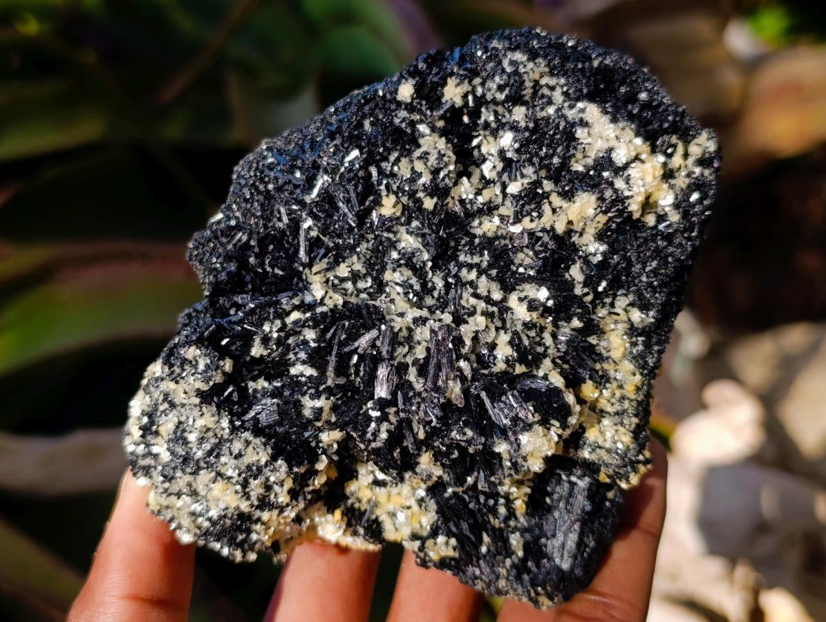 Natural Schorl Black Tourmaline Specimens with Muscovite Mica x 3 From Erongo, Namibia - Toprock Gemstones and Minerals 