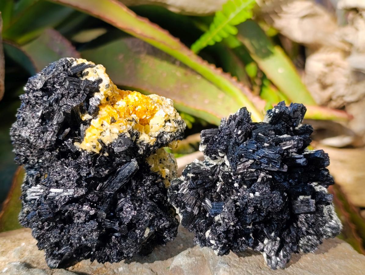 Natural Schorl Black Tourmaline Specimens with Muscovite Mica x 3 From Erongo, Namibia - Toprock Gemstones and Minerals 