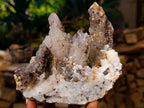 Natural Dogtooth Calcite Coated Pseudomorph Specimens x 2 From Albert's Mountain, Lesotho - Toprock Gemstones and Minerals 