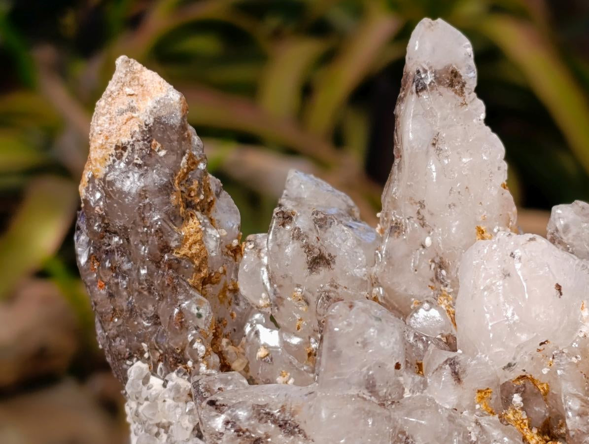 Natural Dogtooth Calcite Coated Pseudomorph Specimens x 2 From Albert's Mountain, Lesotho - Toprock Gemstones and Minerals 