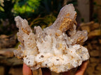 Natural Dogtooth Calcite Coated Pseudomorph Specimens x 2 From Albert's Mountain, Lesotho - Toprock Gemstones and Minerals 