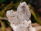Natural Dogtooth Calcite Coated Pseudomorph Specimens x 2 From Albert's Mountain, Lesotho - Toprock Gemstones and Minerals 