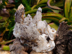 Natural Dogtooth Calcite Coated Pseudomorph Specimens x 2 From Albert's Mountain, Lesotho - Toprock Gemstones and Minerals 