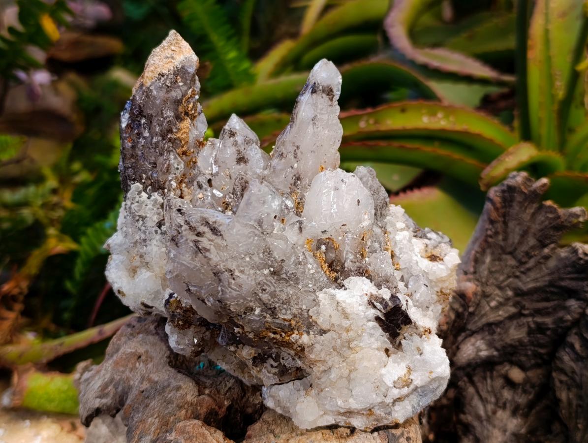Natural Dogtooth Calcite Coated Pseudomorph Specimens x 2 From Albert's Mountain, Lesotho - Toprock Gemstones and Minerals 