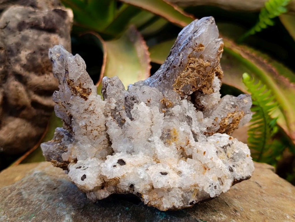 Natural Dogtooth Calcite Coated Pseudomorph Specimens x 2 From Albert's Mountain, Lesotho - Toprock Gemstones and Minerals 