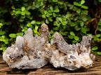 Natural Dogtooth Calcite Coated Pseudomorph Specimens x 2 From Albert's Mountain, Lesotho - Toprock Gemstones and Minerals 
