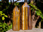 Polished Golden Tigers Eye Standing Display Points x 2 From Prieska, South Africa - Toprock Gemstones and Minerals 