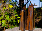 Polished Golden Tigers Eye Standing Display Points x 2 From Prieska, South Africa - Toprock Gemstones and Minerals 