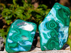 Polished Malacolla Free Forms x 6 From Kulukuluku, Congo - Toprock Gemstones and Minerals 