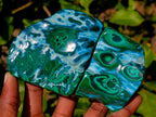 Polished Malacolla Free Forms x 6 From Kulukuluku, Congo - Toprock Gemstones and Minerals 