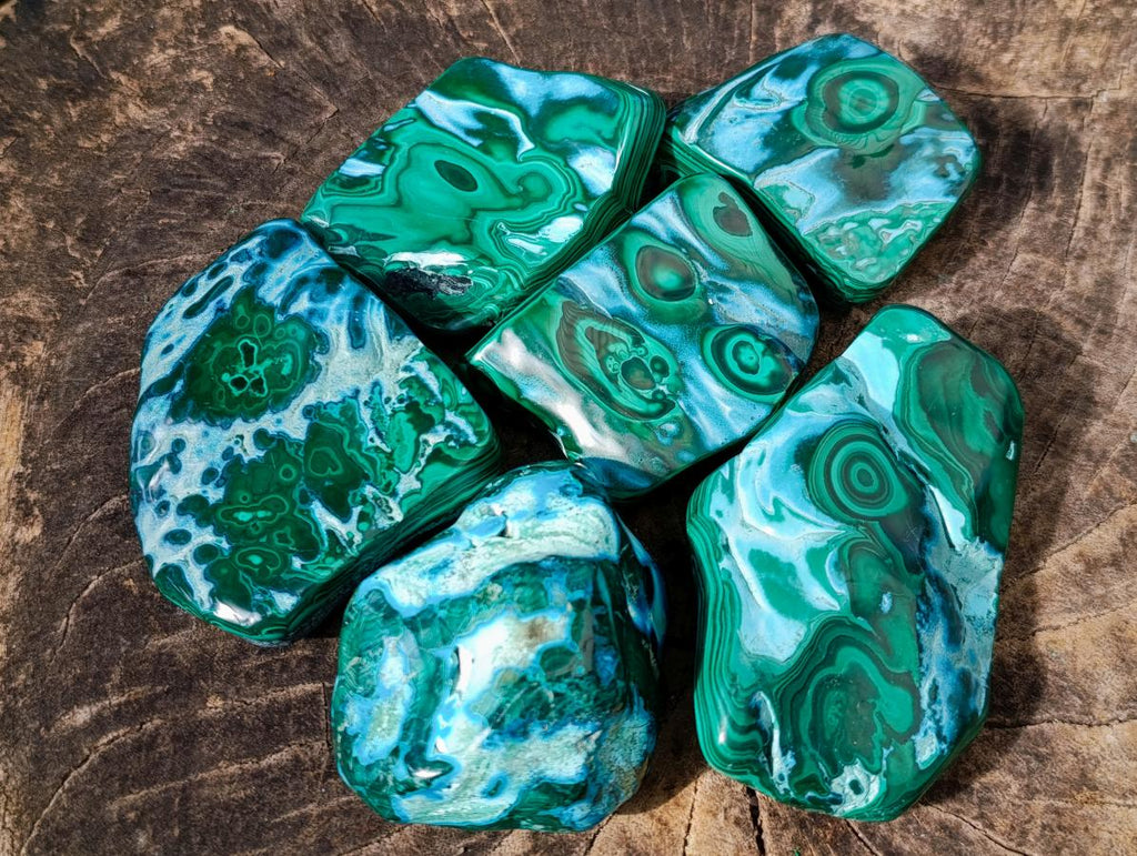 Polished Malacolla Free Forms x 6 From Kulukuluku, Congo - Toprock Gemstones and Minerals 
