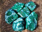 Polished Malacolla Free Forms x 6 From Kulukuluku, Congo - Toprock Gemstones and Minerals 