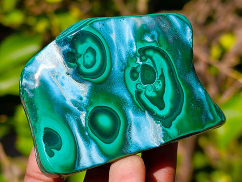 Polished Malacolla Free Forms x 6 From Kulukuluku, Congo - Toprock Gemstones and Minerals 