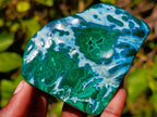 Polished Malacolla Free Forms x 6 From Kulukuluku, Congo - Toprock Gemstones and Minerals 