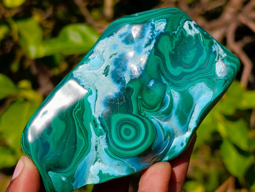 Polished Malacolla Free Forms x 6 From Kulukuluku, Congo - Toprock Gemstones and Minerals 