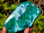 Polished Malacolla Free Forms x 6 From Kulukuluku, Congo - Toprock Gemstones and Minerals 