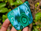 Polished Malacolla Free Forms x 6 From Kulukuluku, Congo - Toprock Gemstones and Minerals 