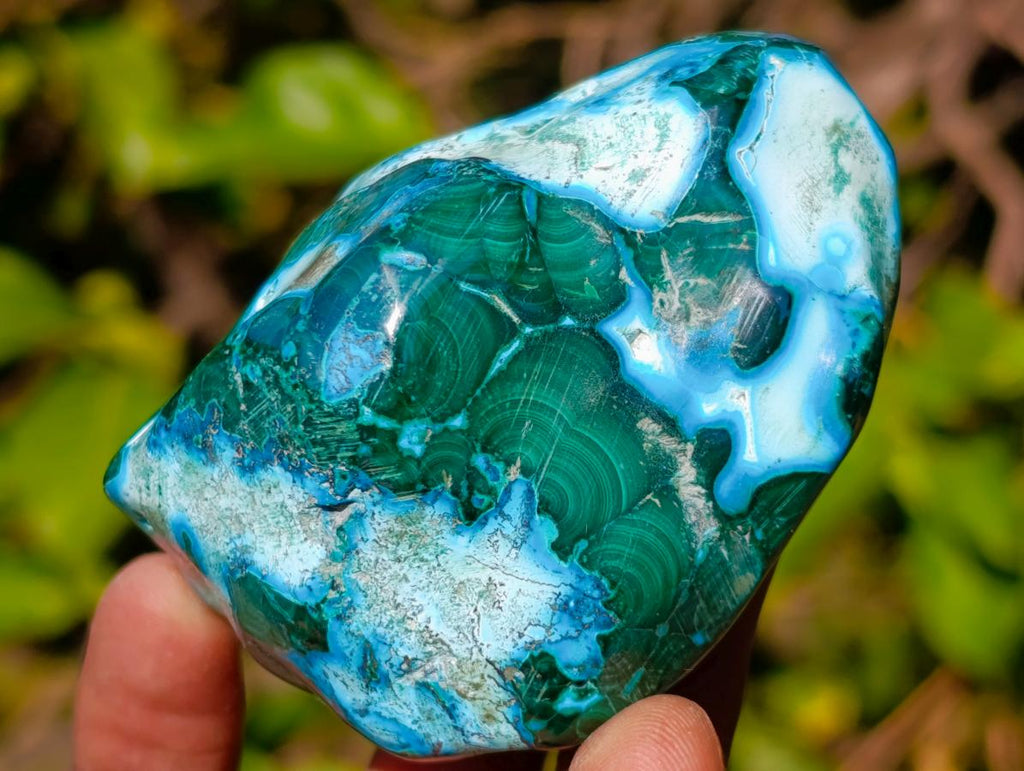 Polished Malacolla Free Forms x 6 From Kulukuluku, Congo - Toprock Gemstones and Minerals 