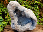 Natural XL Blue Celestite Geode Specimen x 1 From Sakoany, Madagascar - Toprock Gemstones and Minerals 