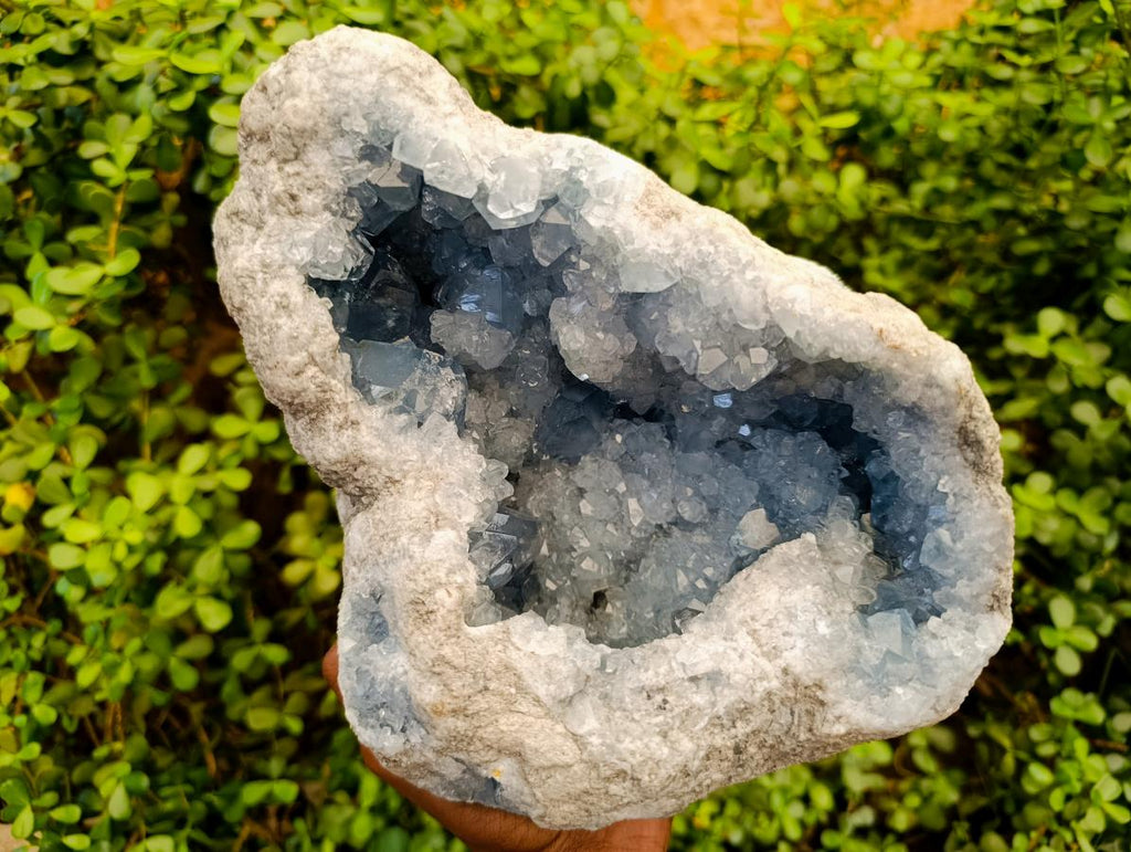 Natural XL Blue Celestite Geode Specimen x 1 From Sakoany, Madagascar - Toprock Gemstones and Minerals 