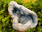 Natural XL Blue Celestite Geode Specimen x 1 From Sakoany, Madagascar - Toprock Gemstones and Minerals 