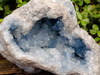 Natural XL Blue Celestite Geode Specimen x 1 From Sakoany, Madagascar - Toprock Gemstones and Minerals 