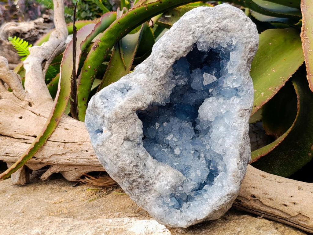 Natural XL Blue Celestite Geode Specimen x 1 From Sakoany, Madagascar - Toprock Gemstones and Minerals 