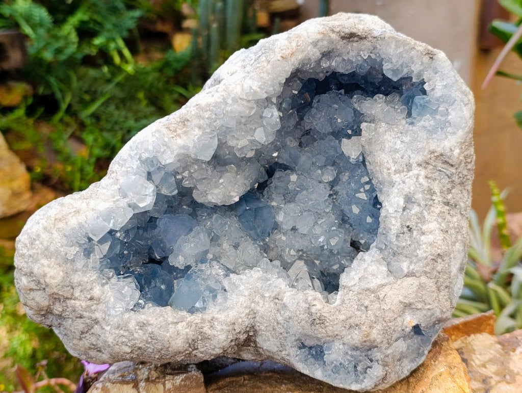 Natural XL Blue Celestite Geode Specimen x 1 From Sakoany, Madagascar - Toprock Gemstones and Minerals 