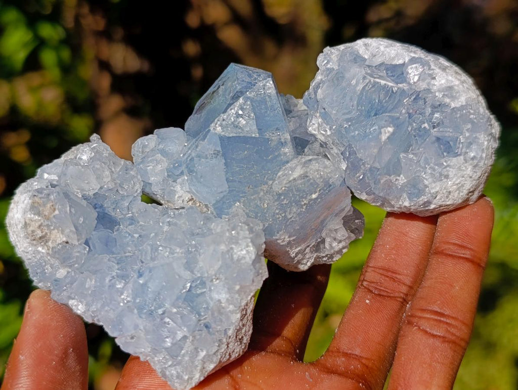 Natural Blue Celestite Specimens x 40 From Sakoany, Madagascar