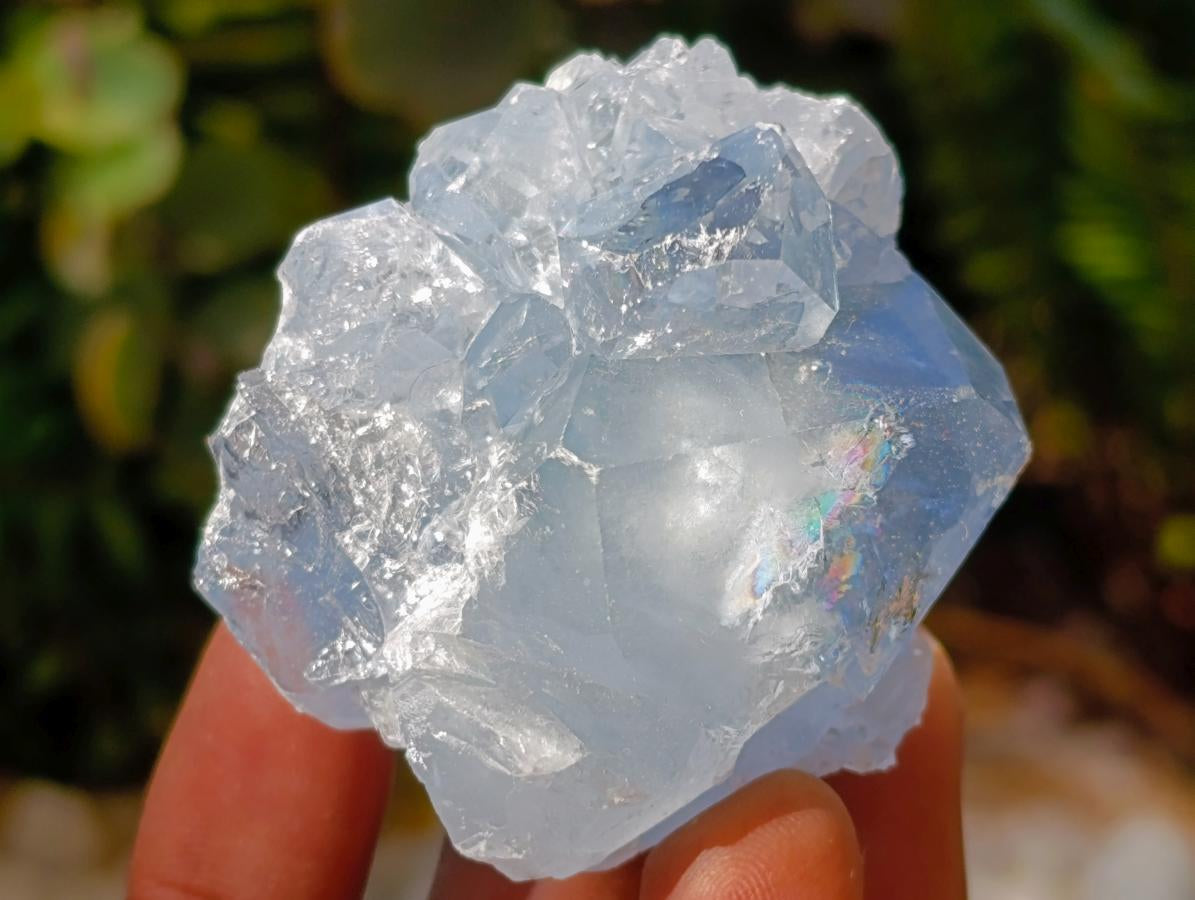 Natural Blue Celestite Specimens x 40 From Sakoany, Madagascar