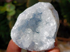 Natural Blue Celestite Specimens x 40 From Sakoany, Madagascar