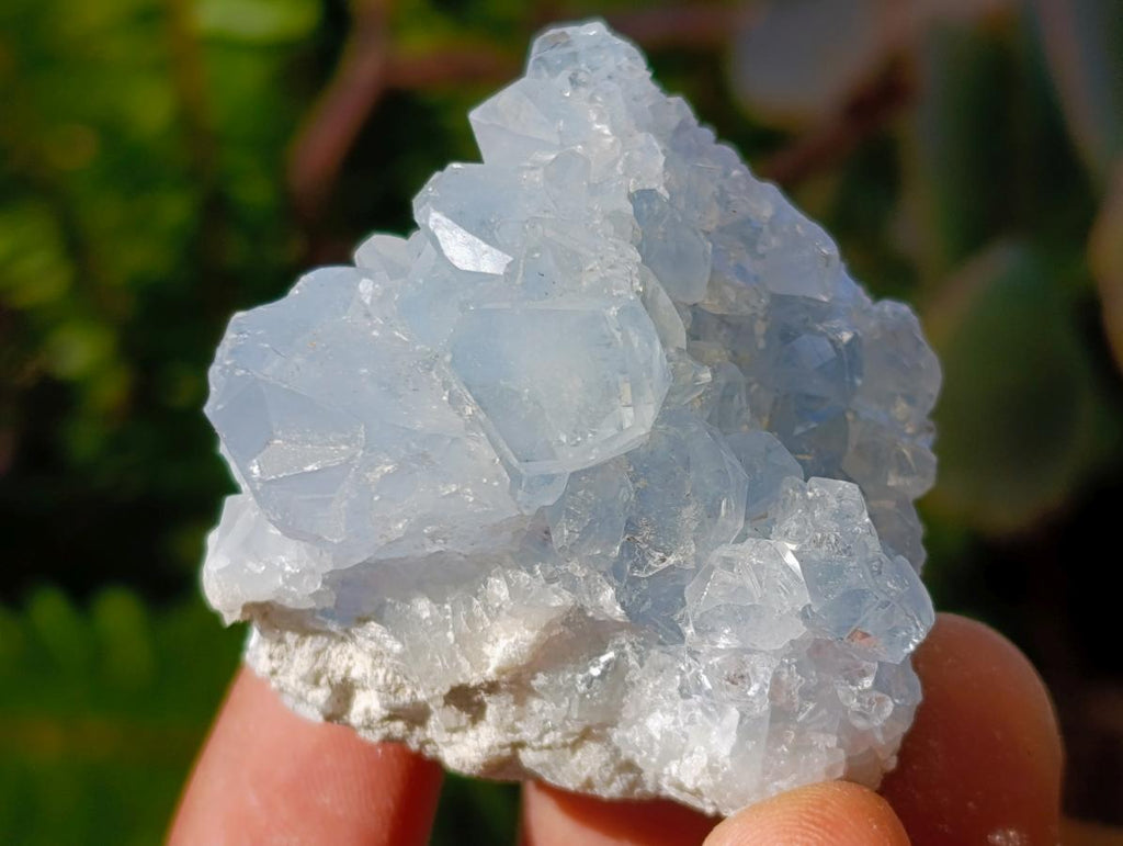 Natural Blue Celestite Specimens x 40 From Sakoany, Madagascar