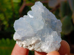 Natural Blue Celestite Specimens x 40 From Sakoany, Madagascar