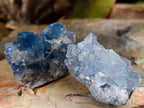 Natural Blue Celestite Specimens x 40 From Sakoany, Madagascar