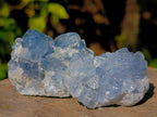 Natural Blue Celestite Specimens x 40 From Sakoany, Madagascar