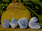 Natural Blue Celestite Specimens x 40 From Sakoany, Madagascar