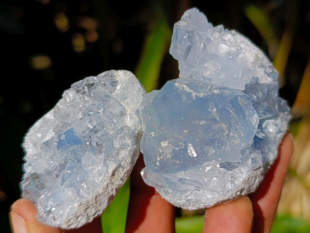 Natural Blue Celestite Specimens x 40 From Sakoany, Madagascar