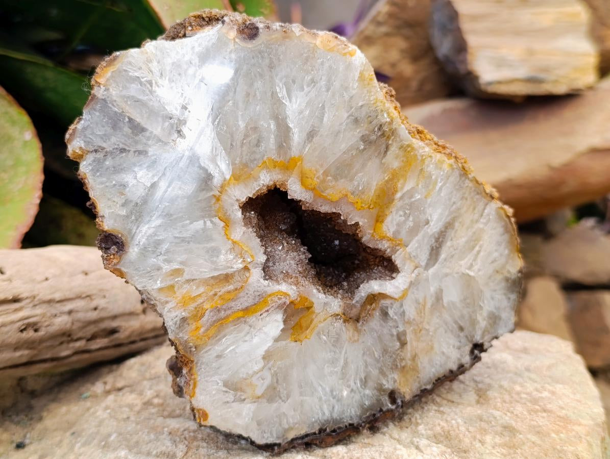 Polished One Side Lemur Island Agate Crystalline Geode x 1 From Nosy Varika, Madagascar