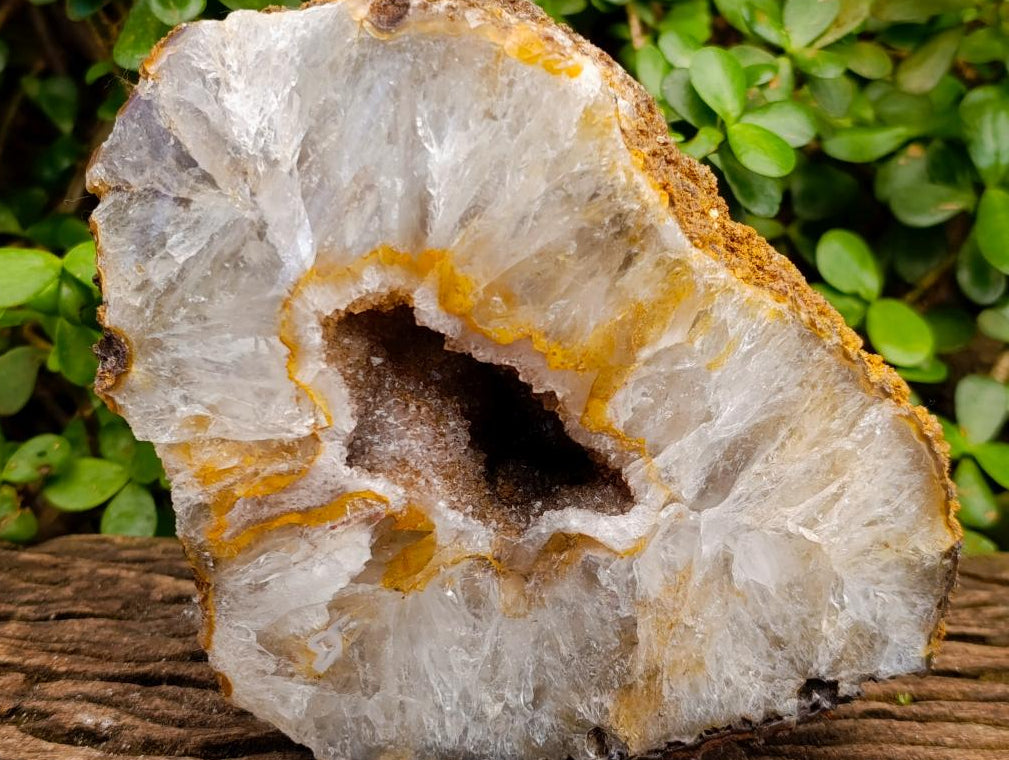 Polished One Side Lemur Island Agate Crystalline Geode x 1 From Nosy Varika, Madagascar
