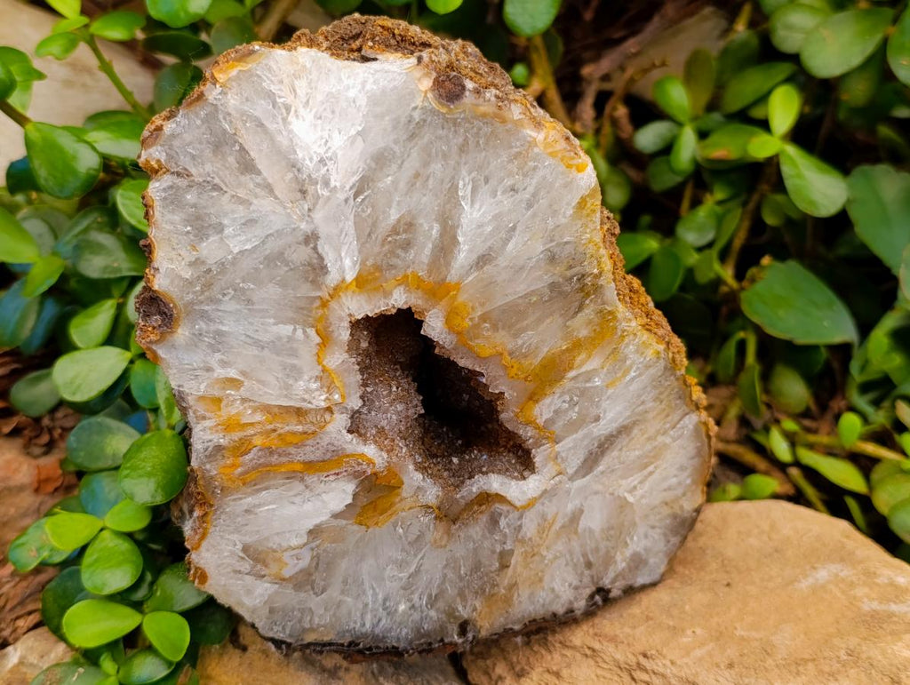 Polished One Side Lemur Island Agate Crystalline Geode x 1 From Nosy Varika, Madagascar