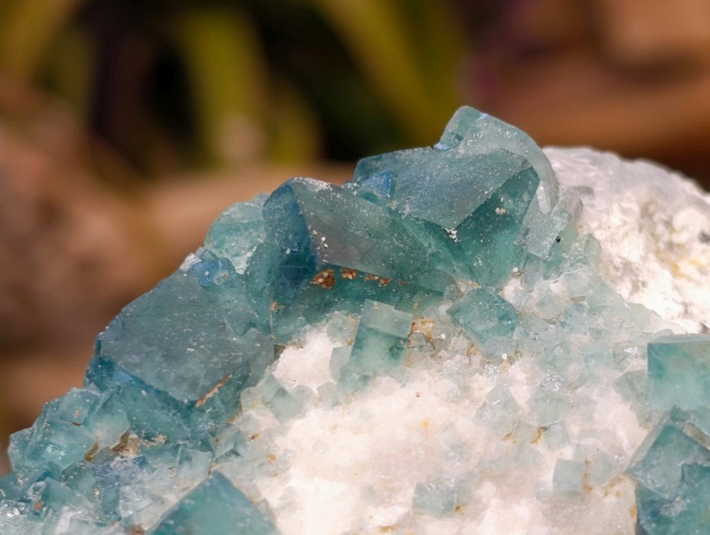 Natural Green Cubic Fluorite Specimens x 6 From Mandrosonoro, Madagascar - Toprock Gemstones and Minerals 