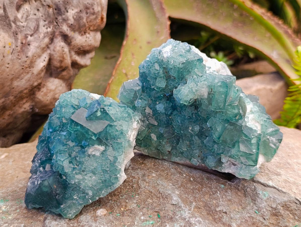 Natural Green Cubic Fluorite Specimens x 6 From Mandrosonoro, Madagascar - Toprock Gemstones and Minerals 