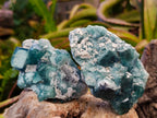 Natural Green Cubic Fluorite Specimens x 6 From Mandrosonoro, Madagascar - Toprock Gemstones and Minerals 